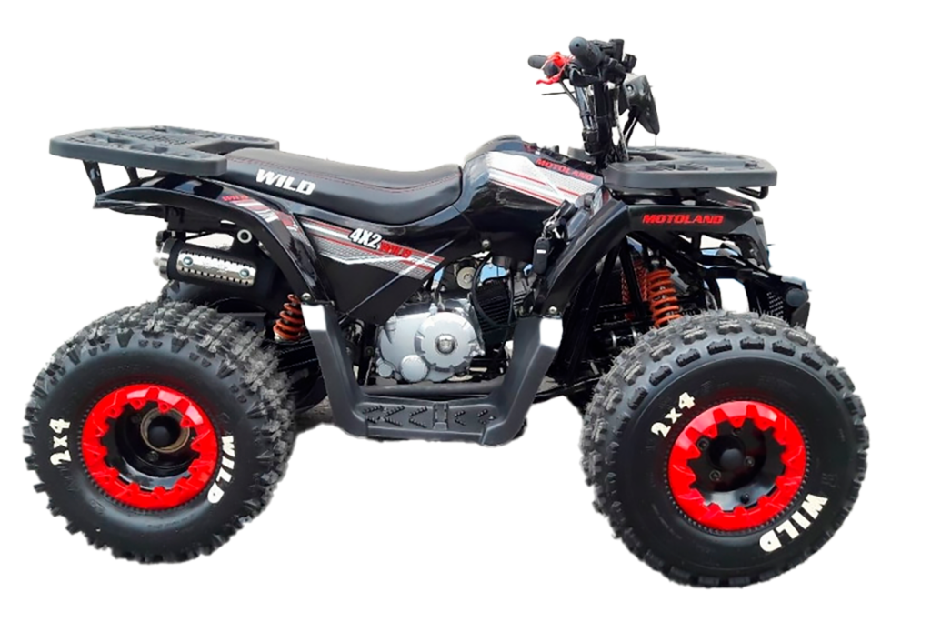 Квадроцикл Motoland 125 WILD черный