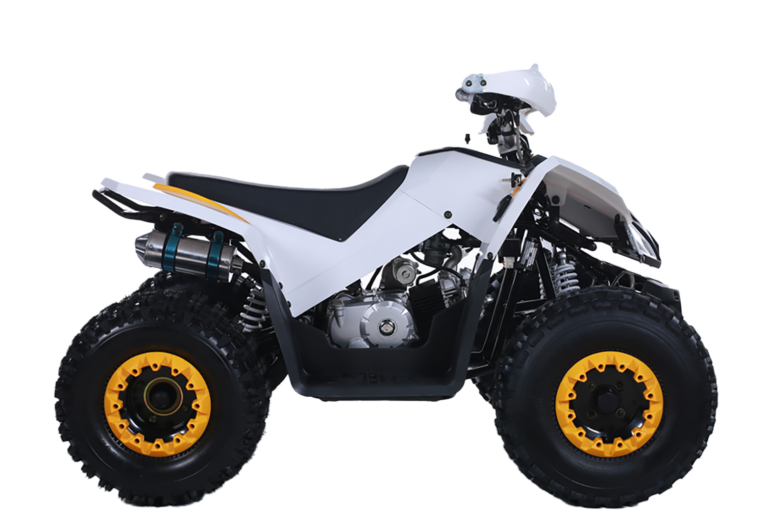 Квадроцикл TAO MOTOR COYOTE 125