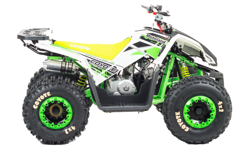 Квадроцикл Motoland 125 COYOTE (2021 г.) Зеленый